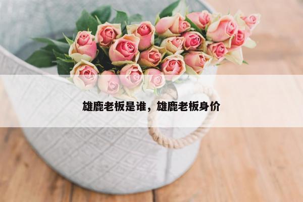 雄鹿老板是谁，雄鹿老板身价