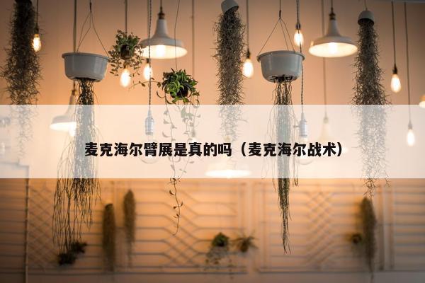 麦克海尔臂展是真的吗（麦克海尔战术）