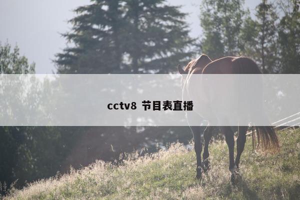 cctv8 节目表直播