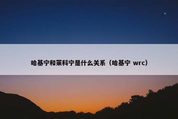 哈基宁和莱科宁是什么关系（哈基宁 wrc）