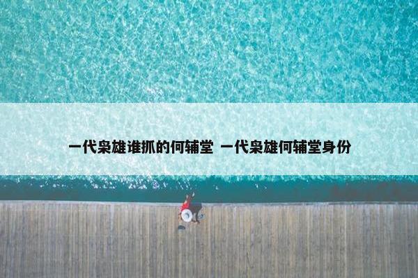 一代枭雄谁抓的何辅堂 一代枭雄何辅堂身份