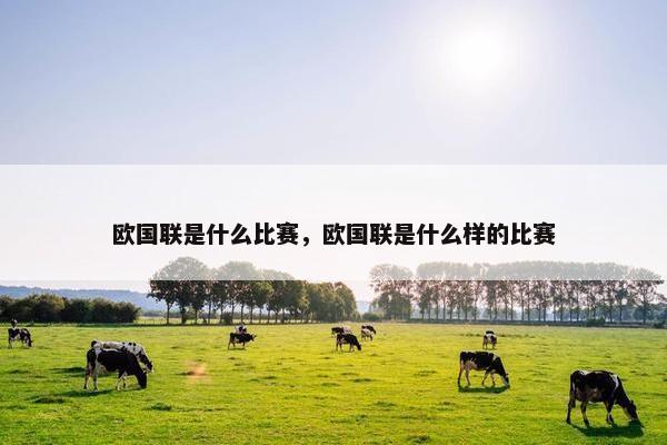 欧国联是什么比赛，欧国联是什么样的比赛