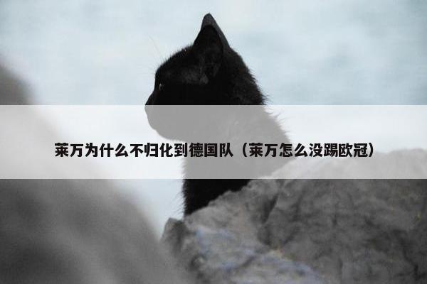 莱万为什么不归化到德国队（莱万怎么没踢欧冠）