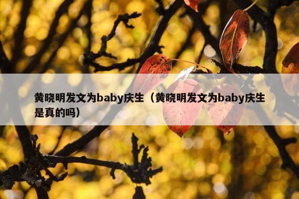 黄晓明发文为baby庆生（黄晓明发文为baby庆生是真的吗）