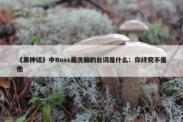 《黑神话》中Boss最洗脑的台词是什么：你终究不是他