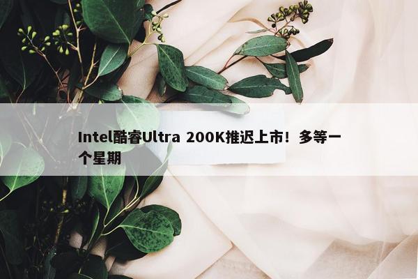 Intel酷睿Ultra 200K推迟上市！多等一个星期