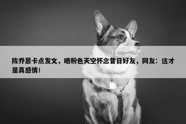 陈乔恩卡点发文，晒粉色天空怀念昔日好友，网友：这才是真感情！