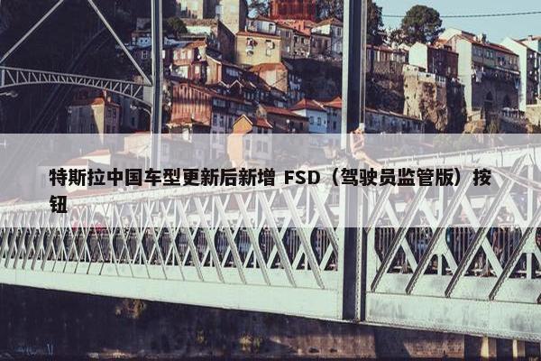 特斯拉中国车型更新后新增 FSD（驾驶员监管版）按钮