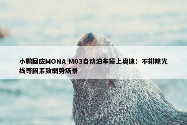 小鹏回应MONA M03自动泊车撞上奥迪：不排除光线等因素致弱势场景