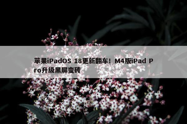 苹果iPadOS 18更新翻车！M4版iPad Pro升级黑屏变砖