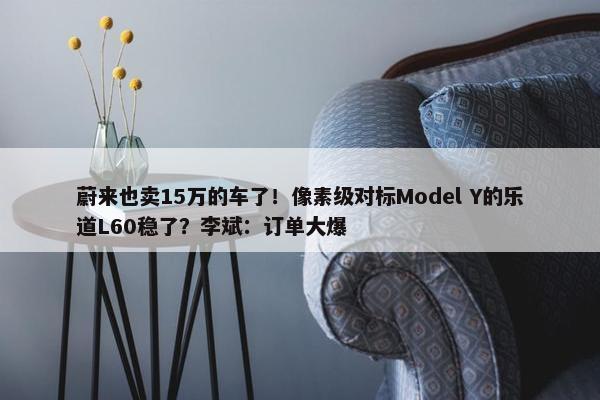 蔚来也卖15万的车了！像素级对标Model Y的乐道L60稳了？李斌：订单大爆