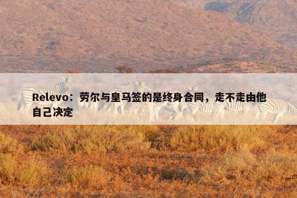 Relevo：劳尔与皇马签的是终身合同，走不走由他自己决定