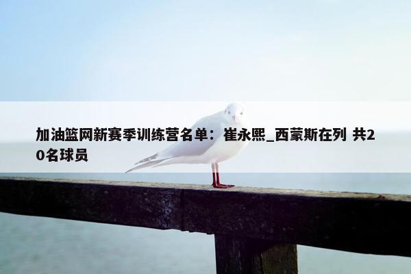 加油篮网新赛季训练营名单：崔永熙_西蒙斯在列 共20名球员