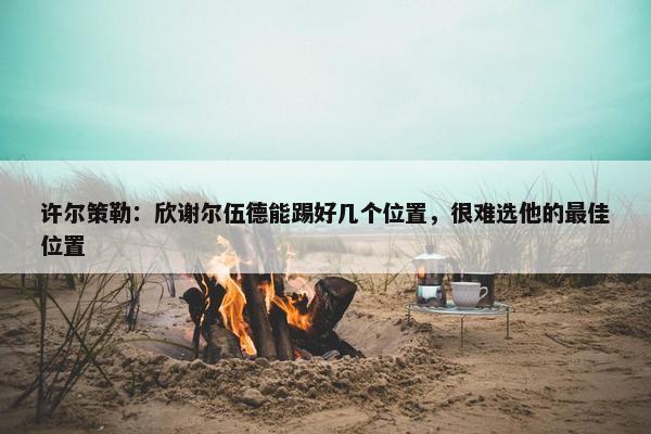 许尔策勒：欣谢尔伍德能踢好几个位置，很难选他的最佳位置