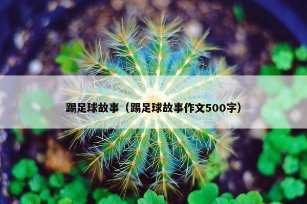 踢足球故事（踢足球故事作文500字）