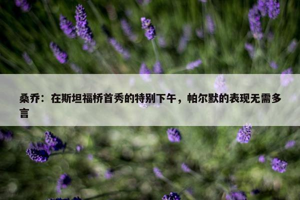 桑乔：在斯坦福桥首秀的特别下午，帕尔默的表现无需多言