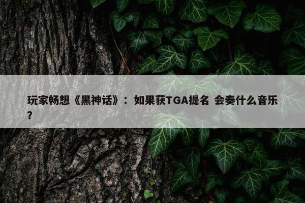 玩家畅想《黑神话》：如果获TGA提名 会奏什么音乐？