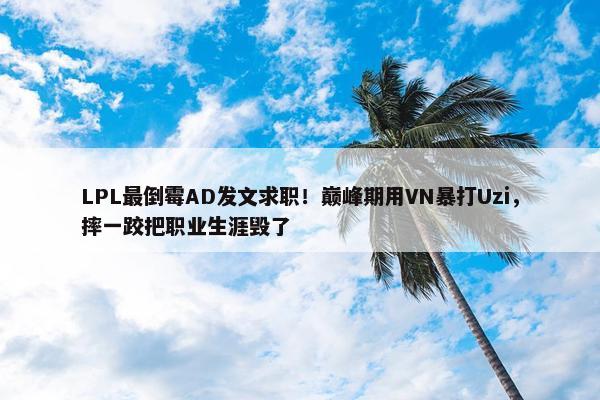 LPL最倒霉AD发文求职！巅峰期用VN暴打Uzi，摔一跤把职业生涯毁了