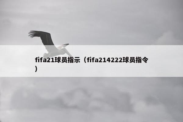 fifa21球员指示（fifa214222球员指令）