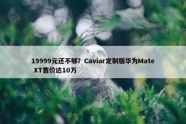 19999元还不够？Caviar定制版华为Mate XT售价达10万