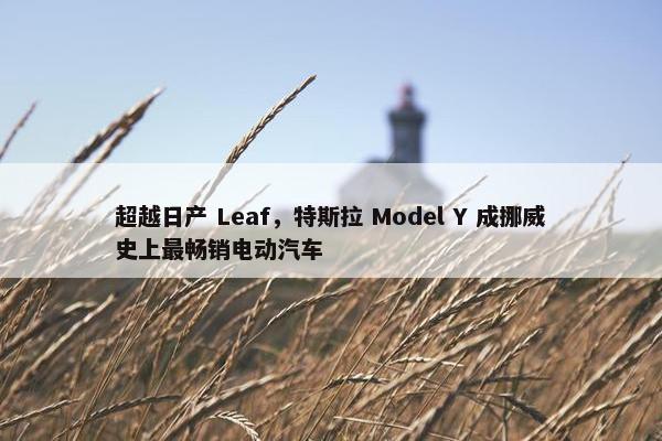 超越日产 Leaf，特斯拉 Model Y 成挪威史上最畅销电动汽车