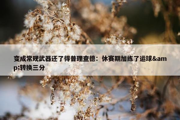 变成常规武器还了得普理查德：休赛期加练了运球&转换三分