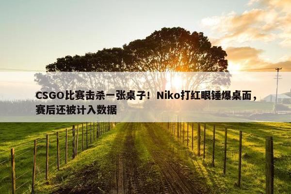 CSGO比赛击杀一张桌子！Niko打红眼锤爆桌面，赛后还被计入数据