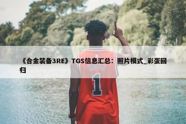 《合金装备3RE》TGS信息汇总：照片模式_彩蛋回归