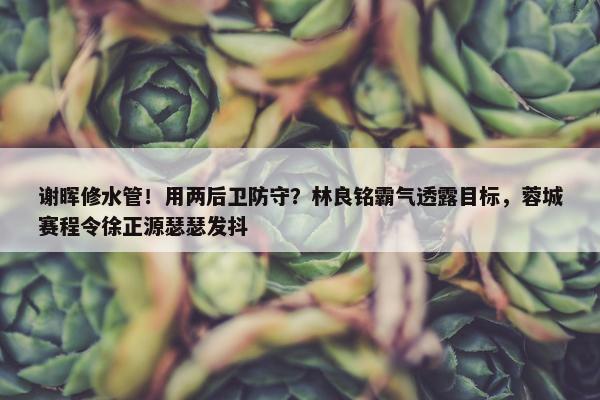 谢晖修水管！用两后卫防守？林良铭霸气透露目标，蓉城赛程令徐正源瑟瑟发抖