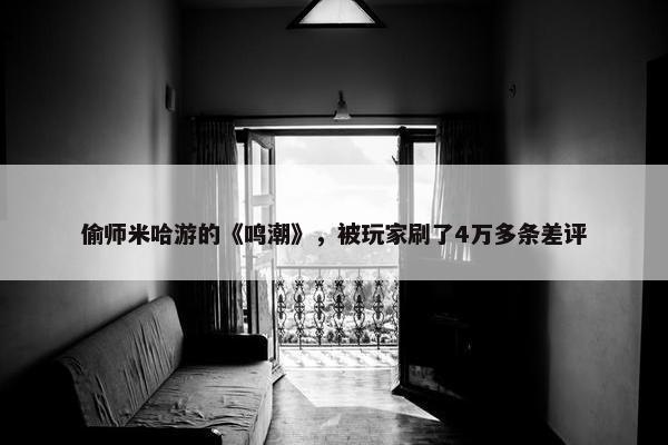 偷师米哈游的《鸣潮》，被玩家刷了4万多条差评