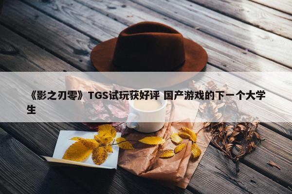 《影之刃零》TGS试玩获好评 国产游戏的下一个大学生