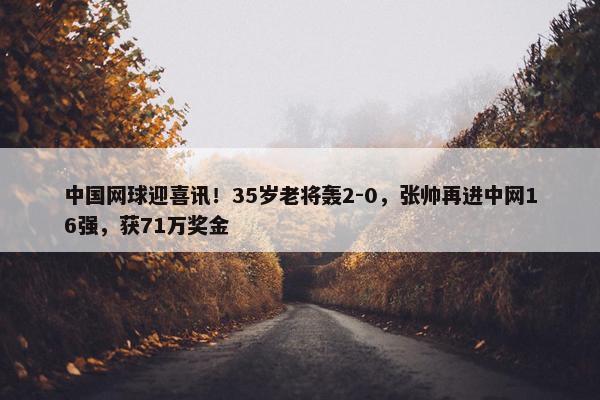 中国网球迎喜讯！35岁老将轰2-0，张帅再进中网16强，获71万奖金