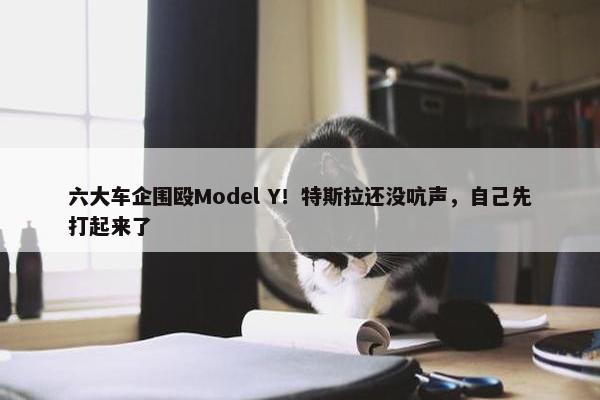 六大车企围殴Model Y！特斯拉还没吭声，自己先打起来了