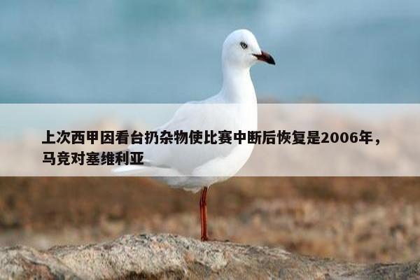 上次西甲因看台扔杂物使比赛中断后恢复是2006年，马竞对塞维利亚