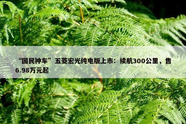 “国民神车”五菱宏光纯电版上市：续航300公里，售6.98万元起