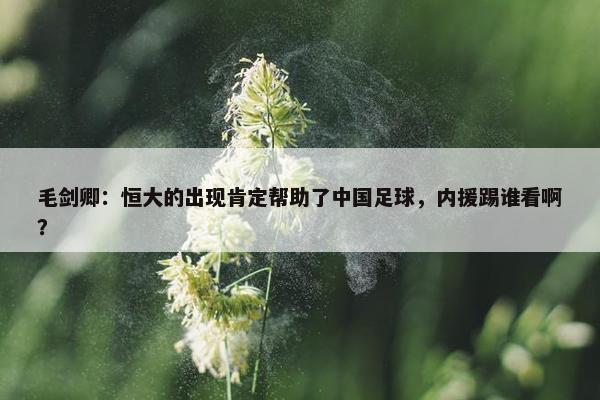 毛剑卿：恒大的出现肯定帮助了中国足球，内援踢谁看啊？