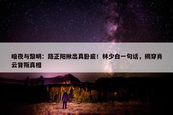 暗夜与黎明：路正阳揪出真卧底！林少白一句话，揭穿肖云背叛真相