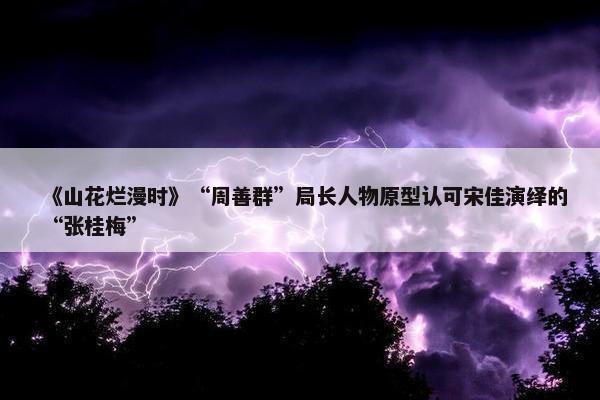 《山花烂漫时》“周善群”局长人物原型认可宋佳演绎的“张桂梅”