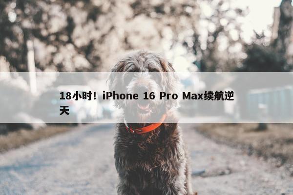 18小时！iPhone 16 Pro Max续航逆天