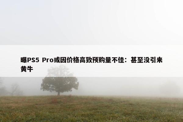 曝PS5 Pro或因价格高致预购量不佳：甚至没引来黄牛