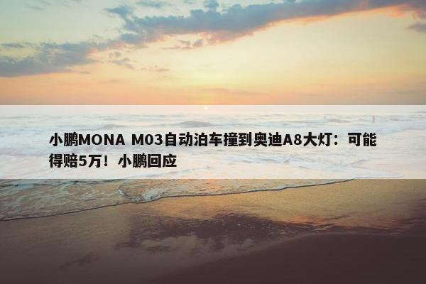 小鹏MONA M03自动泊车撞到奥迪A8大灯：可能得赔5万！小鹏回应