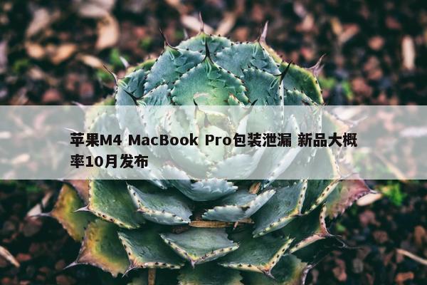 苹果M4 MacBook Pro包装泄漏 新品大概率10月发布