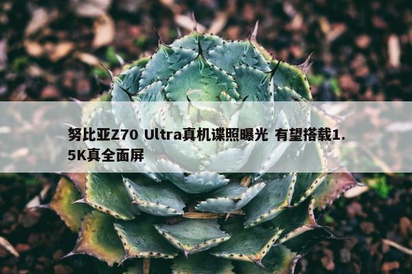 努比亚Z70 Ultra真机谍照曝光 有望搭载1.5K真全面屏