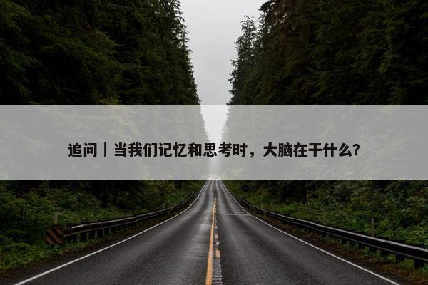 追问｜当我们记忆和思考时，大脑在干什么？