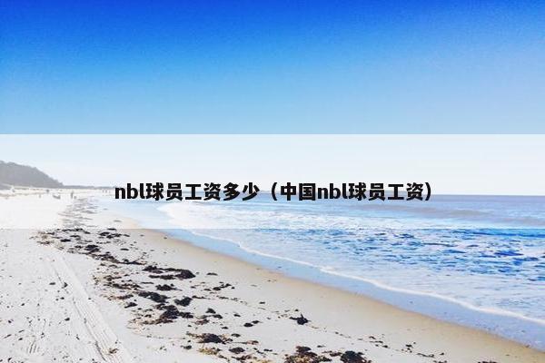 nbl球员工资多少（中国nbl球员工资）