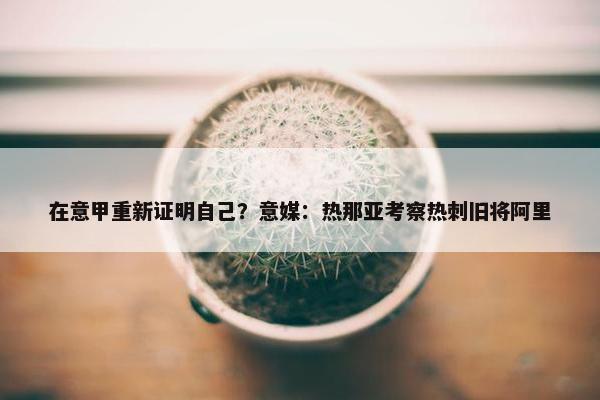 在意甲重新证明自己？意媒：热那亚考察热刺旧将阿里