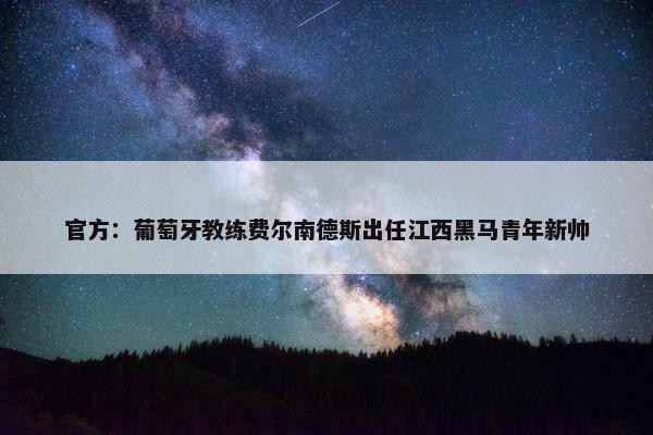 官方：葡萄牙教练费尔南德斯出任江西黑马青年新帅