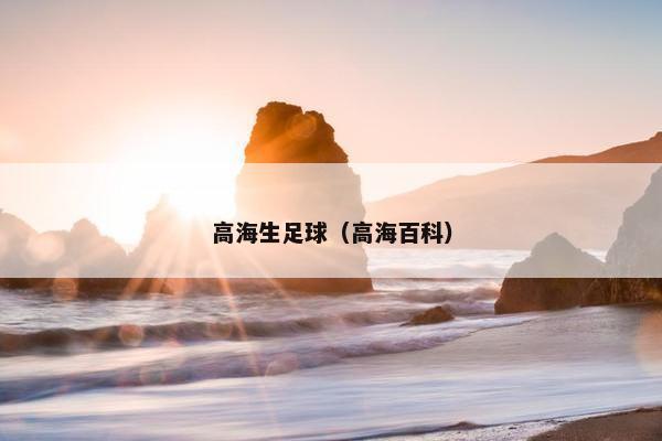 高海生足球（高海百科）