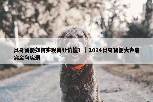 具身智能如何实现商业价值？｜2024具身智能大会嘉宾金句实录