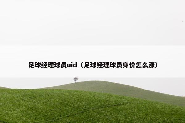 足球经理球员uid（足球经理球员身价怎么涨）